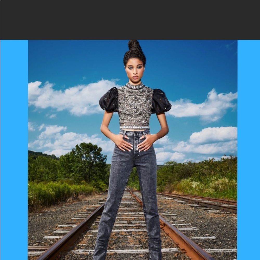 Alice & Olivia Black Olinda Sheer Puff Sleeve Top